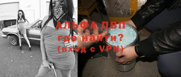 ешки Богданович