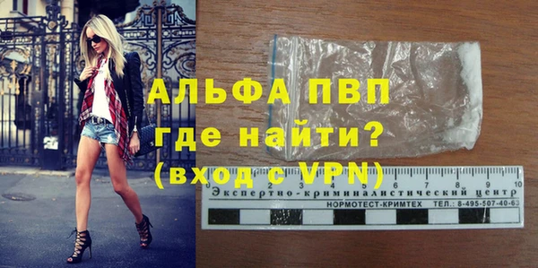 ешки Богданович