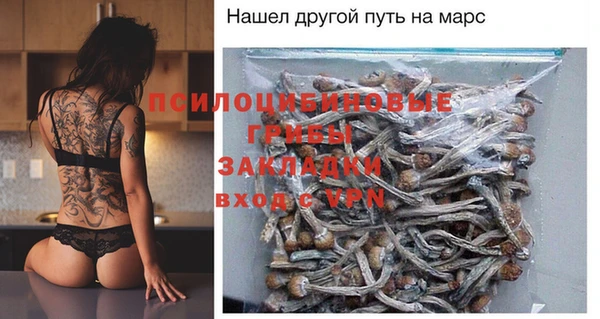 ешки Богданович